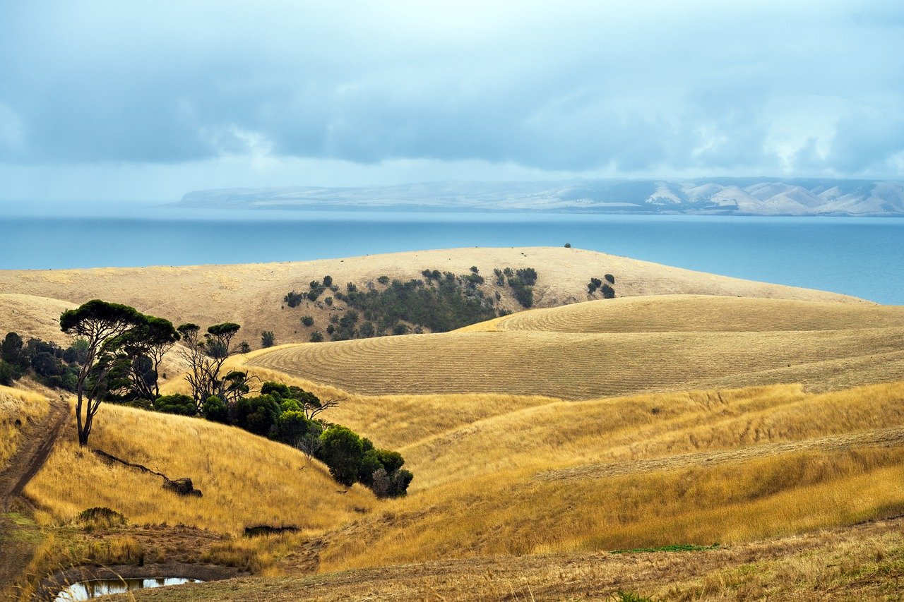 What is Regenerative Agriculture?